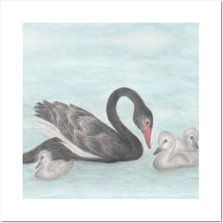 Black Swan Posters and Art